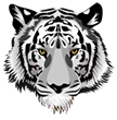 The MORE logo which is a white tiger head with yellow eyes staring at you.