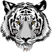 Tiger Mascot